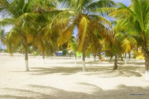 La Plage à Fi Fi